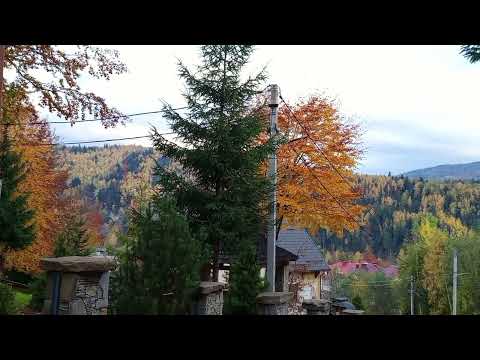 Видео: Осінні Карпати.