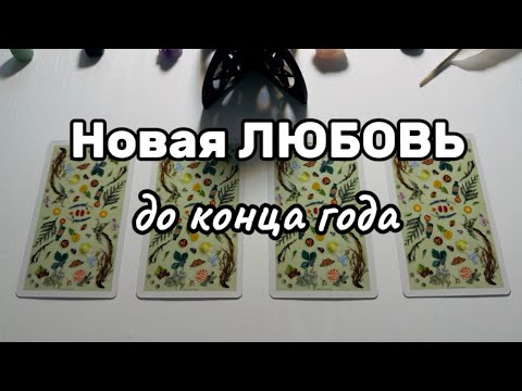 Видео: Будут Ли Новые ОТНОШЕНИЯ 💕  до конца ГОДА ⁉️🌹💍