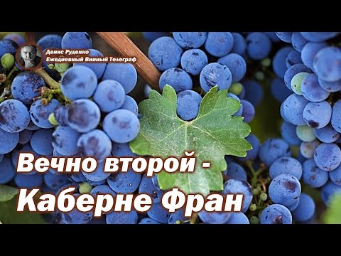 Видео: Вечно второй - Каберне Фран