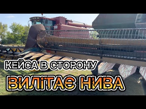 Видео: Сайберік в тотальну засуху! Нива розвалюється, але збирає врожай! Niva SK-5 is harvesting sunflowers