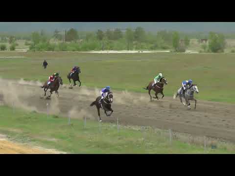 Видео: Скаковой день 12 июня. Дистанция 2400 м. Райзинг Кинг
