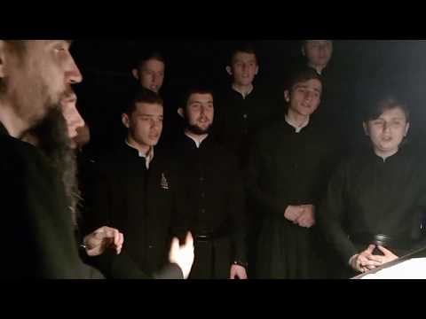 Видео: Хвалите имя Господа архим. Матфея (Мормыля) хор МДПУ Голосеево