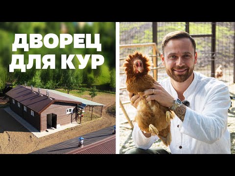 Видео: КУРЯТНИК С УМОМ / Продуманное решение для счастливых кур