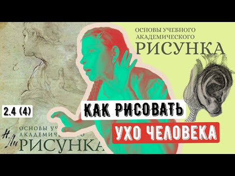Видео: ОСНОВЫ РИСУНКА: как рисовать УХО 