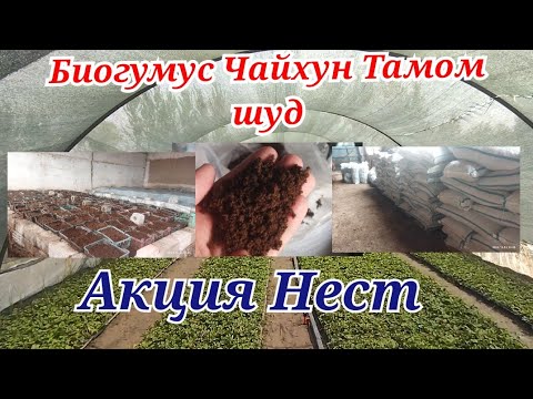 Видео: Биогумус Нест акция тамом шуд, нарху наво Фуруш Биогумус