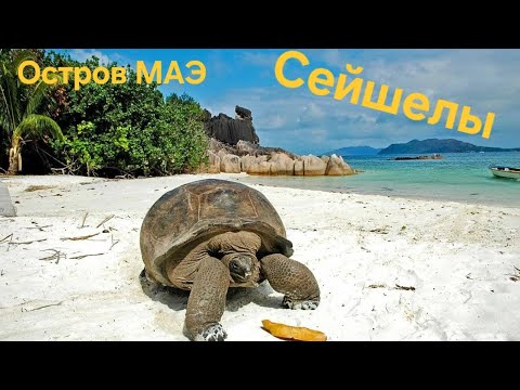 Видео: Сейшелы остров МАЭ. Дикарем по Сейшелам. Что посмотреть за один день . Лучшие пляжи