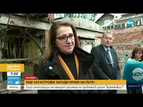 Видео: Протест в „Кремиковци" срещу излизащи на пътното платно животни