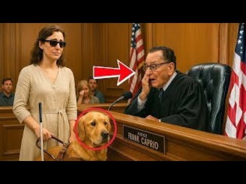 Видео: Слепая женщина получила 6 штрафов за парковку за одну неделю… но когда судья Фрэнк Каприо узнал