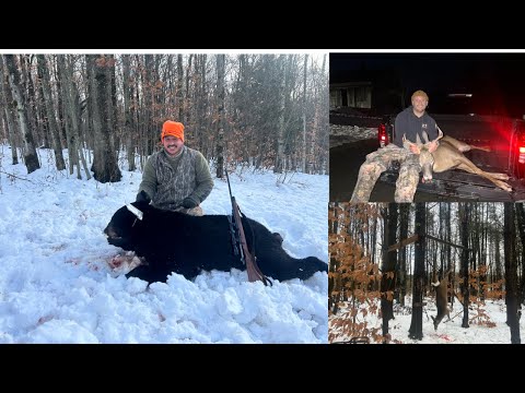 Видео: 23 ноября 2024 года. Охота в северной части штата Нью-Йорк. Выслеживание медведя и оленя после сн...