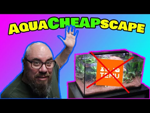 Видео: Я попытался сделать максимально дешевый акваскейп - аквариум против Тему!