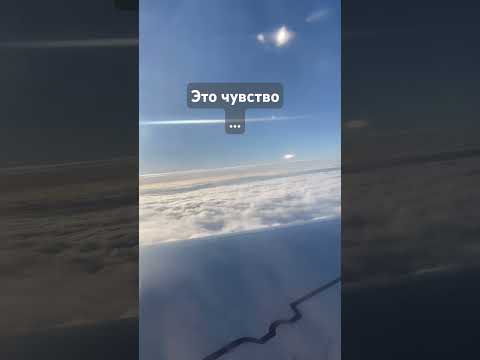 Видео: #ароматы #чувства #любовь #восторг #блогер #блог #ютуберша