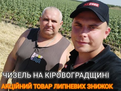 Видео: ЧИЗЕЛЬ НА КІРОВОГРАДЩИНІ від АГРО БМ