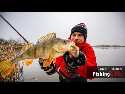 Видео: ЖОР Великого ОКУНЯ Зимою - Чи Вдасться Зловити Трофей?
