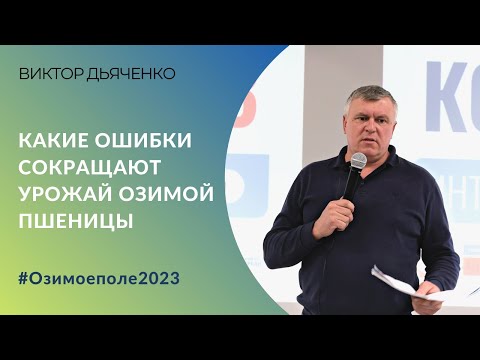 Видео: Какие ошибки сокращают урожай озимой пшеницы. Опыт семеновода Виктора Дьяченко