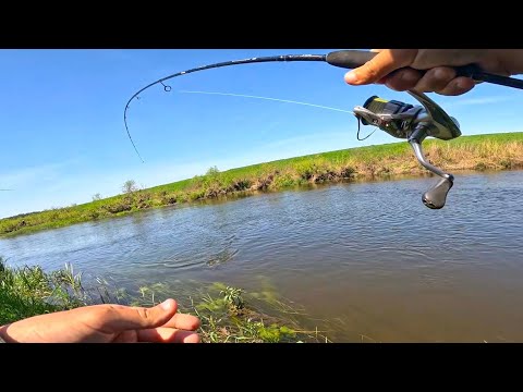 Видео: ВОТ ЭТО РЫБАЛКА ВЫШЛА. ЗЛЫЕ ПОКЛЁВКИ РАЗНОРЫБИЦЫ на реке. Рыбалка на спиннинг в 2024