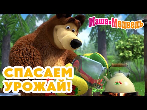 Видео: Маша и Медведь 🌽🍎 Спасаем урожай! 💥 Новая серия 3 июля!: Скользкий тип 🧼🐰🥕