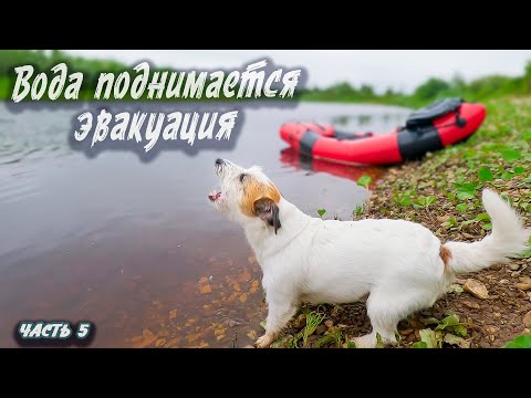 Видео: Река не пускает | Северный Тиман 2025