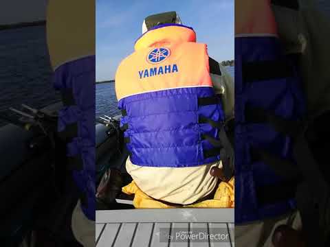 Видео: Обзор лодки Фрегат 370 air