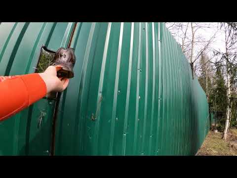 Видео: Бобер, козы и затопленный лес Рассудово - Наро-Фоминск