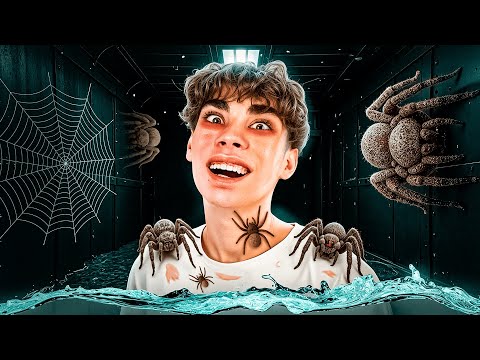 Видео: 😱Я Поборол ВСЕ ФОБИИ С Помощью Хоррор Игр!