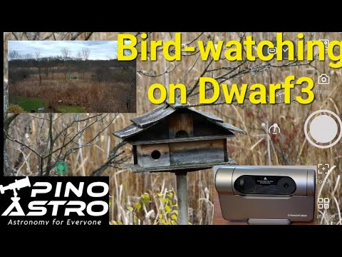 Видео: Dwarf 3: Возможности для наблюдения за птицами и дикой природой #PinoAstro #Dwarf3