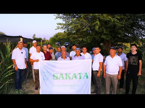 Видео: 1 Июль куни Қашқадарёда Сюзана Плюс F1 помидорига ўтказилган семинардан лавҳалар