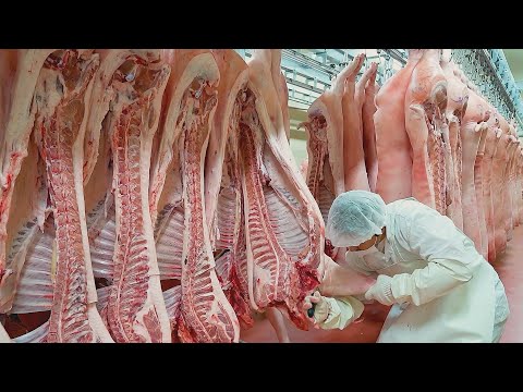 Видео: Удивительные навыки резки свиней, коров, тунца