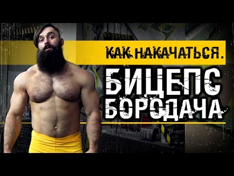 Видео: Как накачаться. Бицепс Бородача