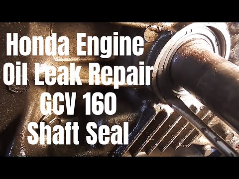 Видео: Ремонт утечки масла в двигателе Honda: [Замена сальника вала GCV 160] (2019)