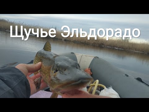 Видео: Рыбалка в Саратове. Нашëл щучье Эльдорадо