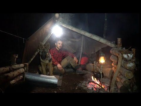 Видео: Двухдневный зимний лагерь в дикой природе с моей собакой - Bushcraft Shelter Camping, Asmr