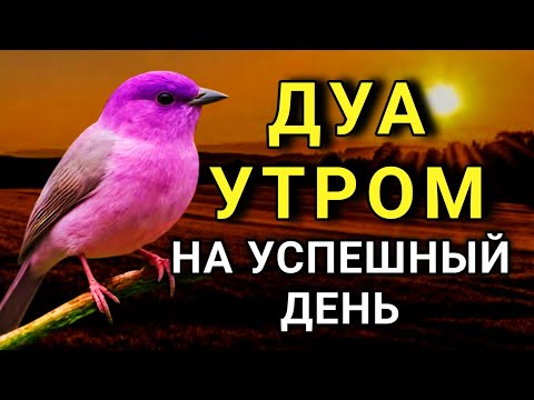 Видео: ДУА УТРОМ САМЫЙ МОЩНЫЙ СТАРТ ДНЯ! ⚡🔑🤲