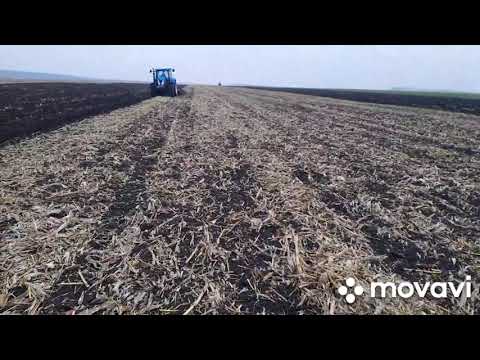 Видео: Оранка по кукурузищі після дощу.