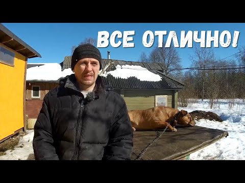 Видео: Куры бьют рекорды, индюки не радуют,  строим планы с мотоблоком МТЗ Беларус  к посевной!