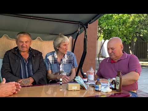 Видео: Мелитопольские голуби. Полезные советы от голубевода-практика Крыжко Ю.Н.