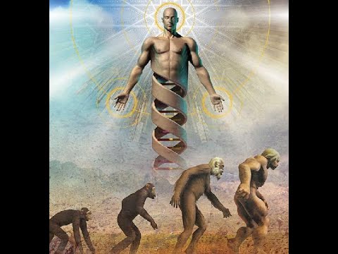 Видео: Закон перевоплощения.  Торсунов Олег Геннадьевич