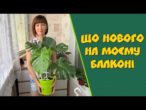 Видео: Що нового на моєму балконі