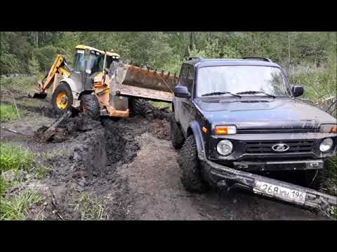 Видео: бронто после 2,5 лет. Впечатления? да вот же они