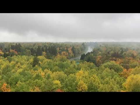 Видео: Признание моей жены в ИЗМЕНЕ мне очень пригодилось спустя ГОДЫ. Истории измен. Жизненные истории