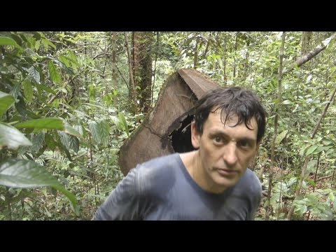 Видео: В глубине джунглей центрального Калимантана. Часть 1.