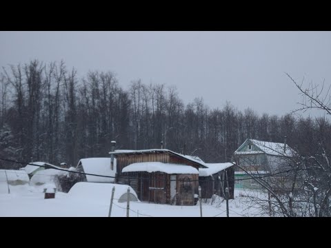 Видео: Зимняя дача. Морозное 1 января.