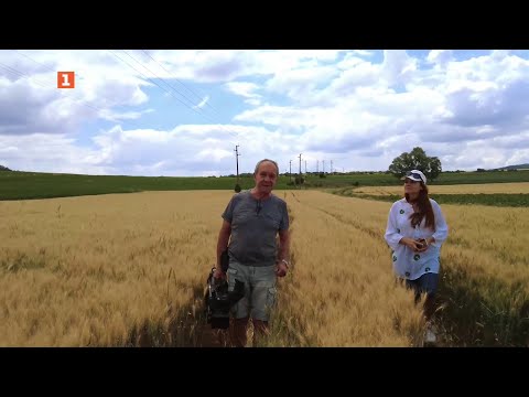 Видео: Как се гледат животни с издадена смъртна присъда? "Бразди" 05.07.2025