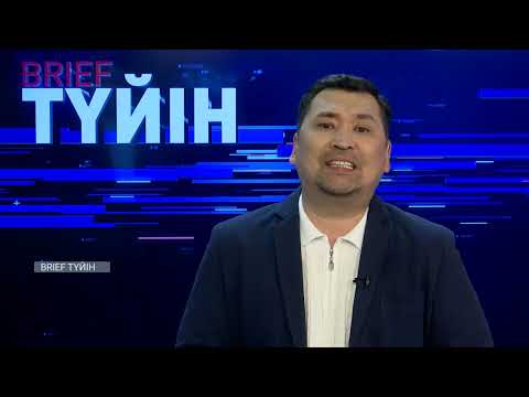 Видео: Тәжірибесі жоқ компаниялар үй салып жатыр / BRIEF.Түйін