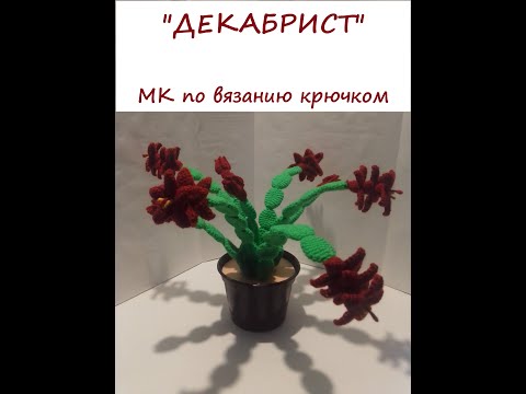 Видео: "ДЕКАБРИСТ" МК по вязанию крючком