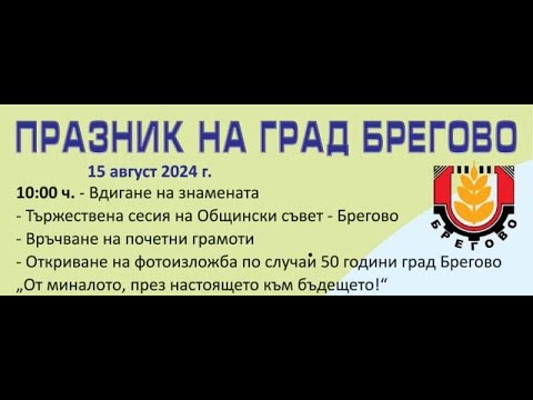 Видео: Празник 50 години град Брегово 15 08 2024