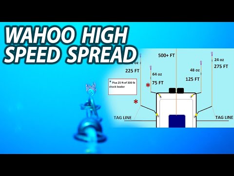 Видео: Мой скоростной троллинговый улов Wahoo с подводными съёмками приманок