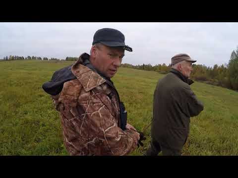 Видео: охота на реву 2021 как манить лося
