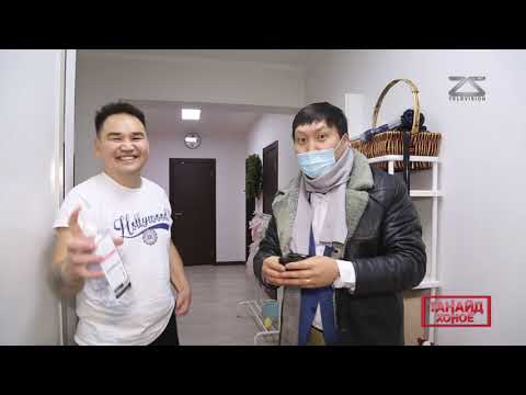 Видео: танайд хоноё: positive mongolians tuvshuu&dulguun