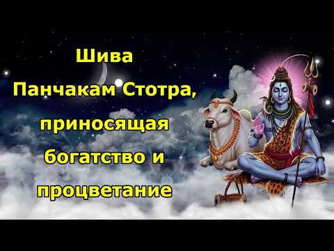 Видео: Шива Панчакам Стотра, приносящая богатство и процветание