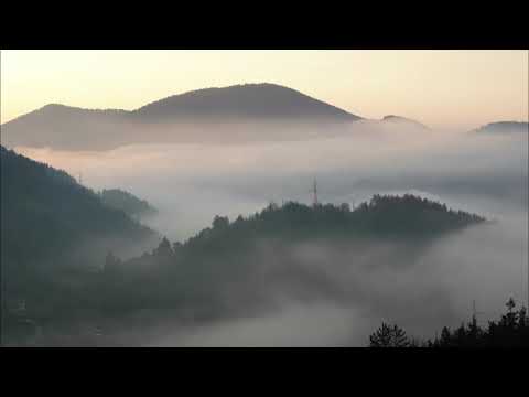 Видео: Напред да ходим